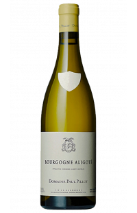 Bourgogne Aligoté 2017 Domaine Paul Pillot