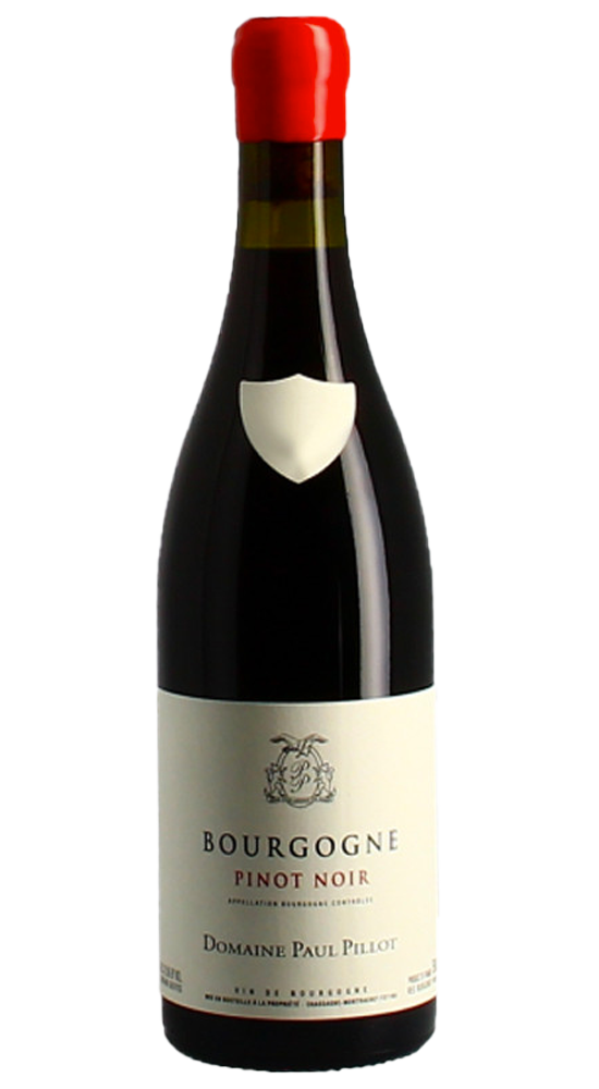 Bourgogne Pinot Noir 2017 Domaine Paul Pillot