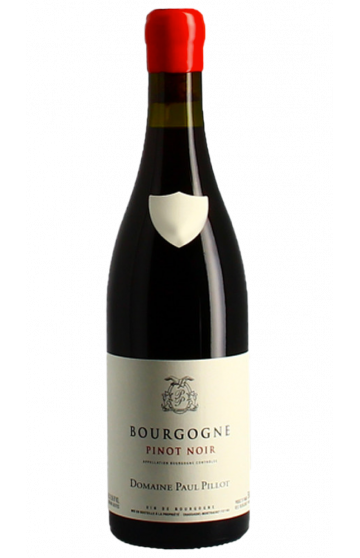 Bourgogne Pinot Noir 2017 Domaine Paul Pillot