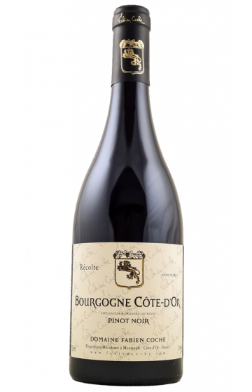 Domaine Fabien Coche: Bourgogne Côte d'Or Pinot Noir 2019