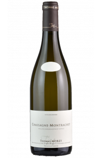 Domaine Thomas Morey : Chassagne Montrachet Blanc 2019