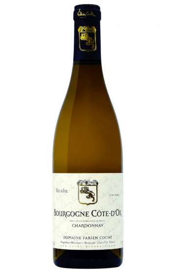 Domaine Fabien Coche: Bourgogne Côte d'Or Chardonnay 2020