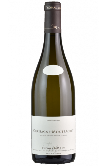 Domaine Thomas Morey : Chassagne Montrachet Blanc 2019