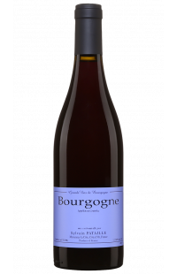 Domaine Sylvain Pataille : Bourgogne Rouge 2022