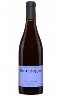 Domaine Sylvain Pataille : Bourgogne Rouge 2022