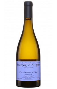 Domaine Sylvain Pataille : Bourgogne Aligoté Auvonnes au Pépé 2021