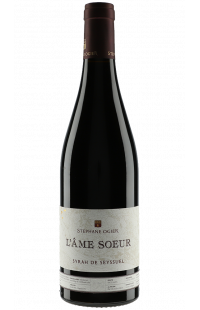 Stéphane Ogier L'âme soeur 2015