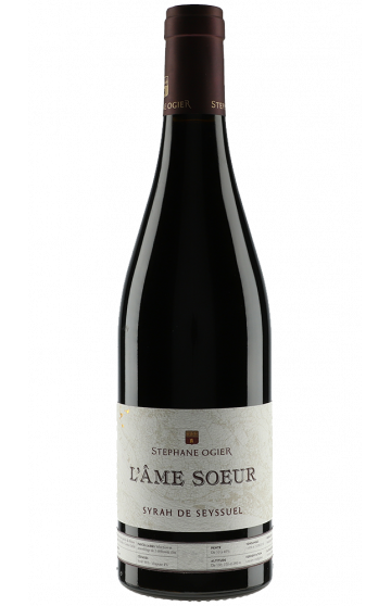 Stéphane Ogier L'âme soeur 2015