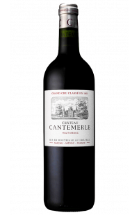 Château Cantemerle 2020 - Primeurs