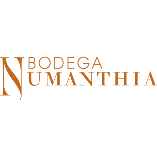 Bodega Numanthia 